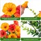 Artificial Faux Hanging Flowers Plants for Outdoor Decor (Yellow+orange) 1"D x 1"W x 1"H